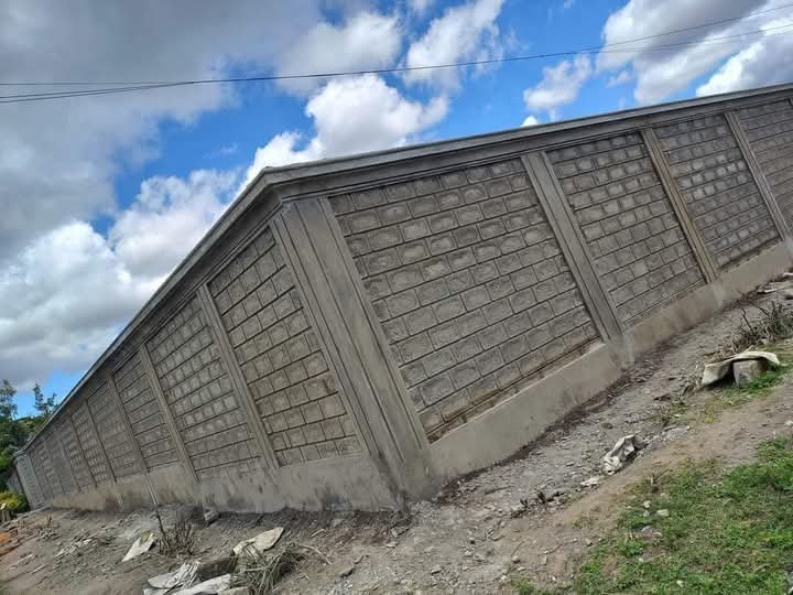 WhatsApp Image 2026-03-16 at 8.35.56 PM (1)