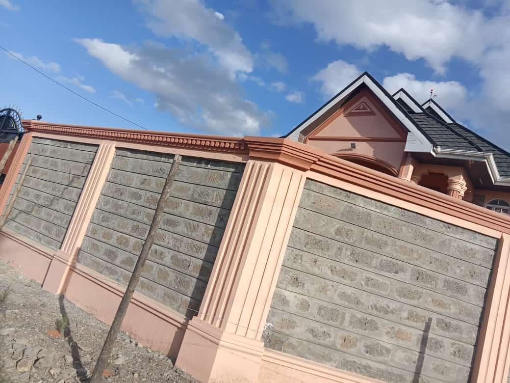 WhatsApp Image 2026-03-16 at 8.35.57 PM (1)